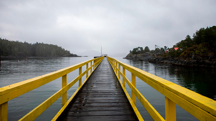 A long wooden walkway with vibrant yellow rails expands across the water toward the horizon, with rocky tree-lined coast enclosing both sides