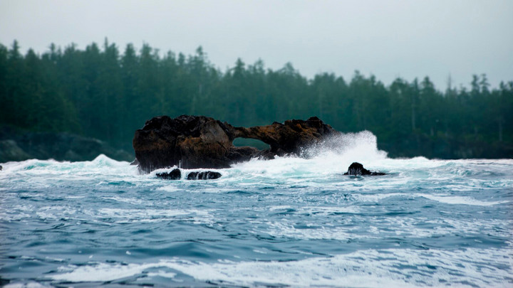 Waves crash over a jagged rock formation jutting out of the ocean off Nootka Island