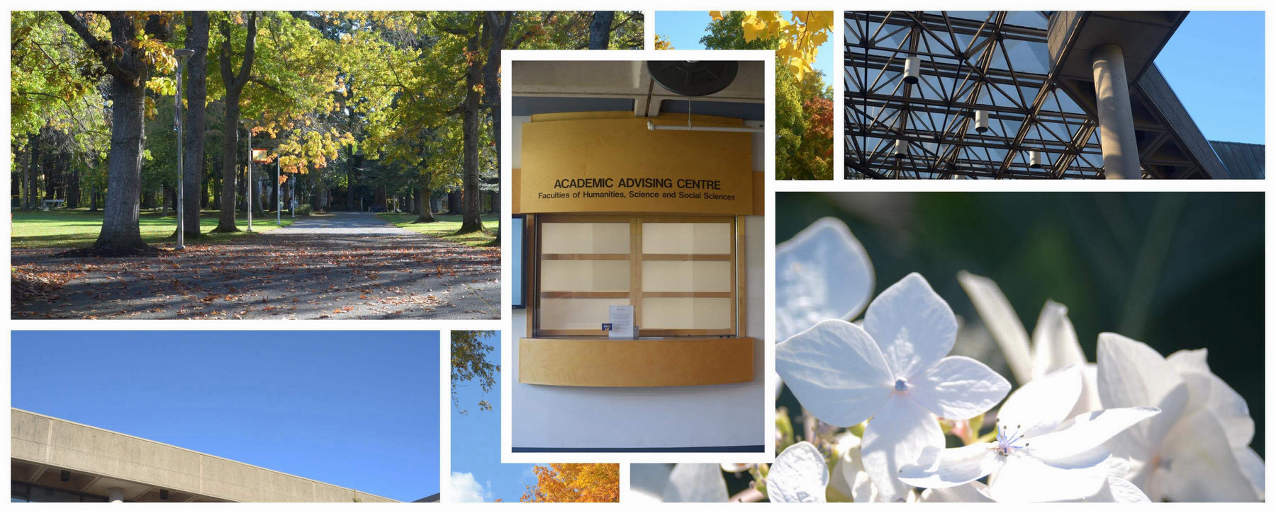 collage of Fall images of UVic
