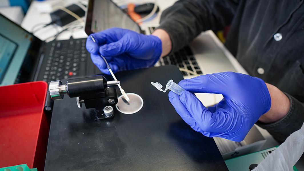 Gloved hand in a test lab.