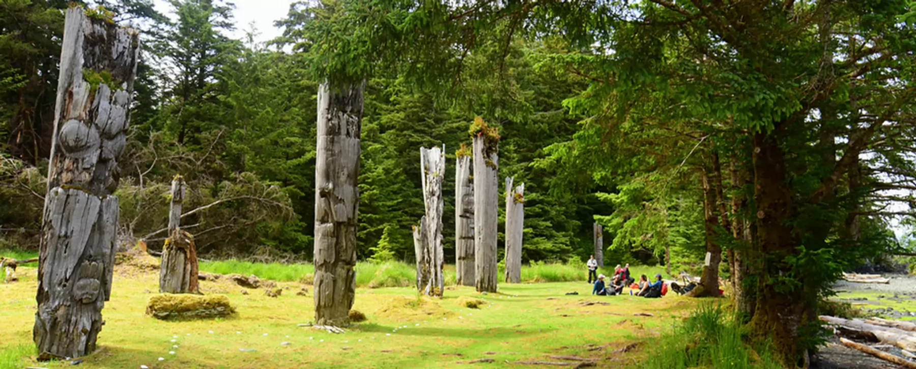People sitting on the ground in a forested areasurrounded by totem poles.