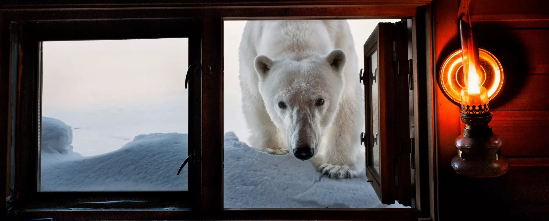 A polar bear looking through a window into a cabin with a lit kerosene lamp.
