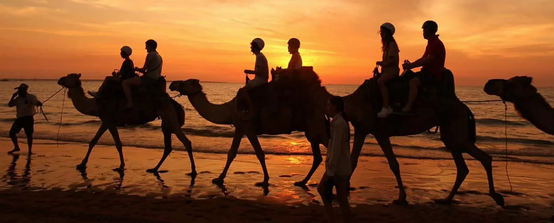 Silhouettes of people riding camels on a beach during sunset.
