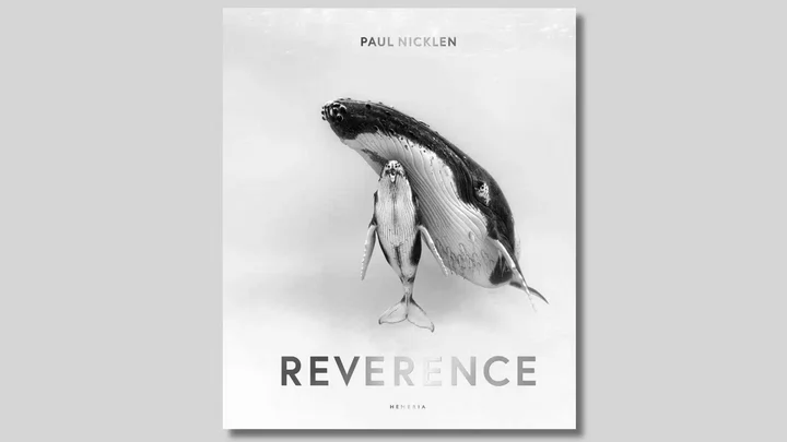 A cover of a book called Reverence by Paul Nicklen featuring a black and white photo of a whale and her calf. 