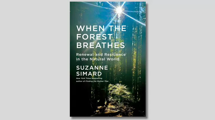 Book cover for When the Forest Breathes: Renewal and Resilience in the Natural World by Suzanne Simard        