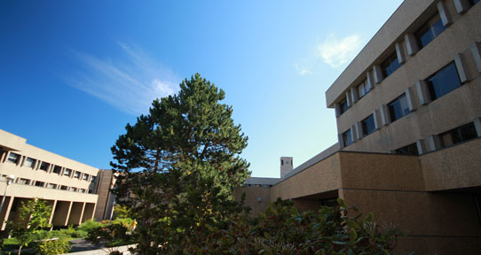 Clearihue Building