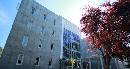 Elliott building