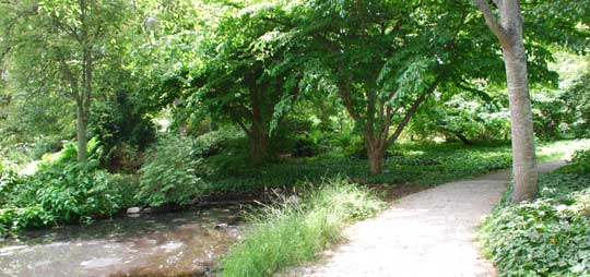 Finnerty Gardens
