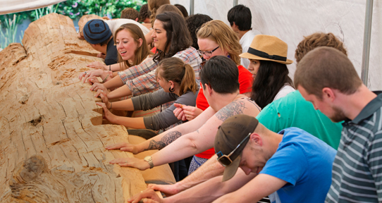 Students leaning against a log