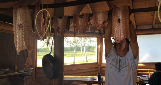 A student hangs fish to smoke and dry near the Mackenzie River