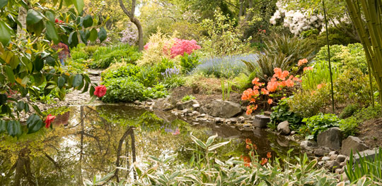 Finnerty Gardens