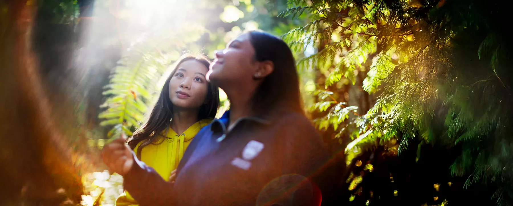 Two people stand among trees, looking at a fern.