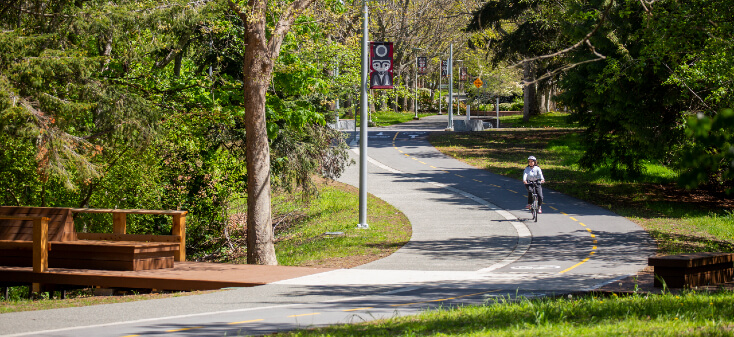 Person biking on new separated pedestrian/bike pathway at UVic