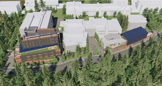 Site Plan rendering