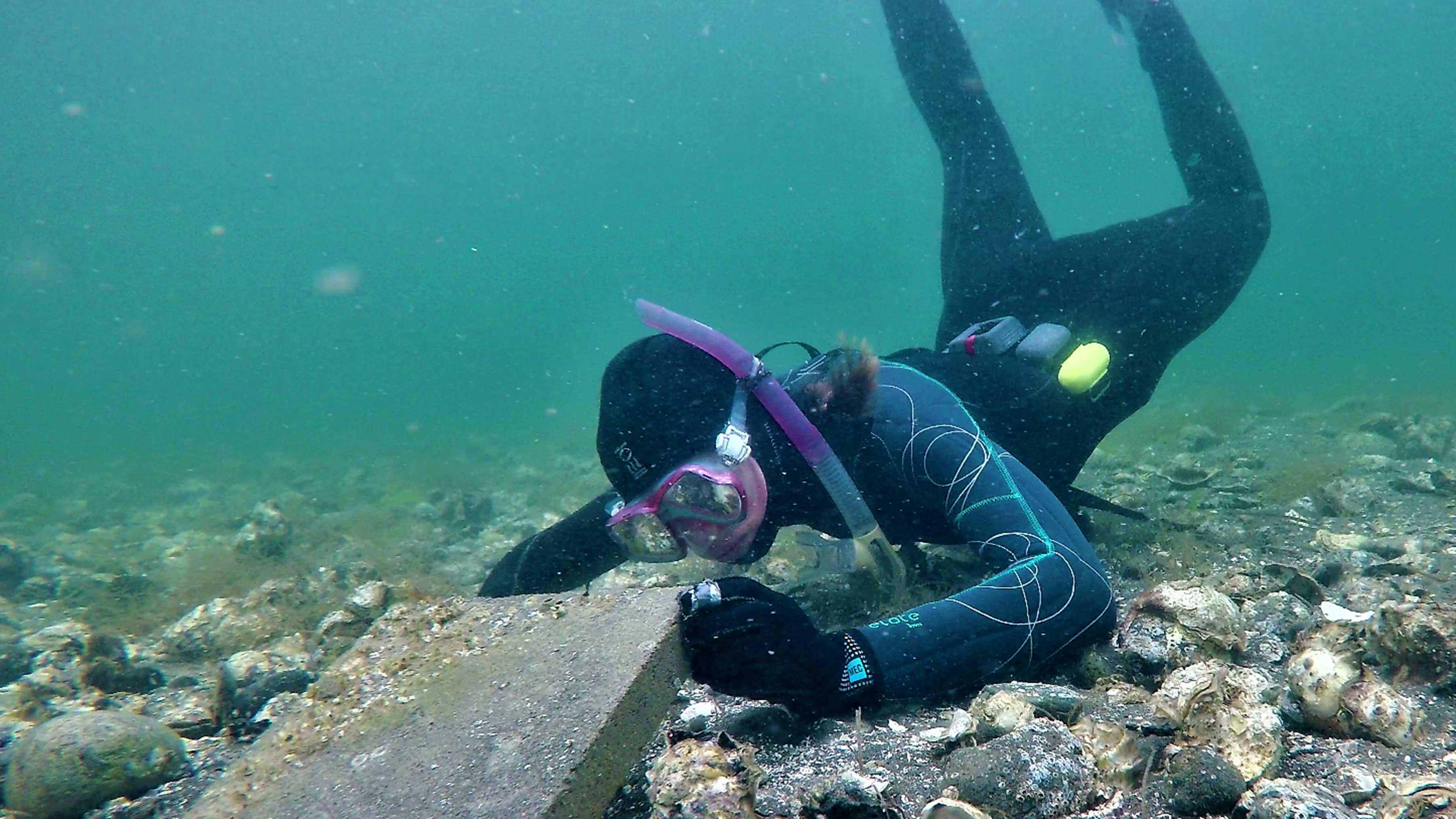 a student wears a scuba diving suit and lifts a rock underwater.