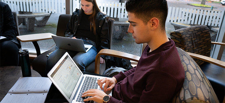 Student looking at laptop