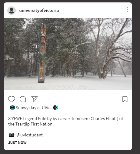 indigenousart.png
