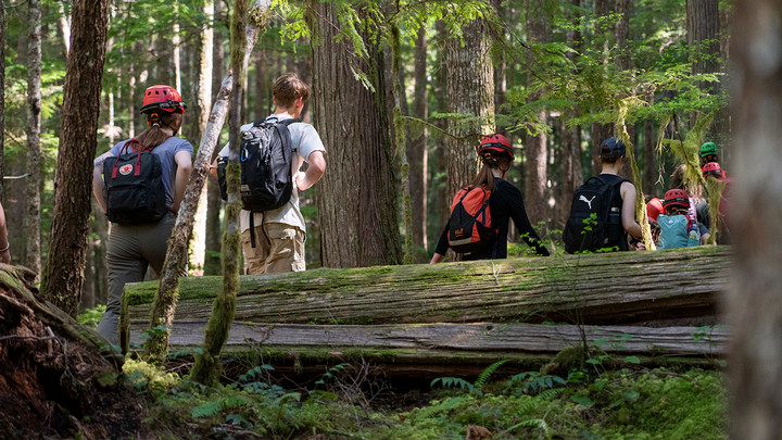 view of children with backpacks from the back as they walk in the woods