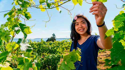 A student holds a vine in a vineyard.