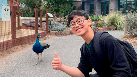 A student stands in front a peacock.
