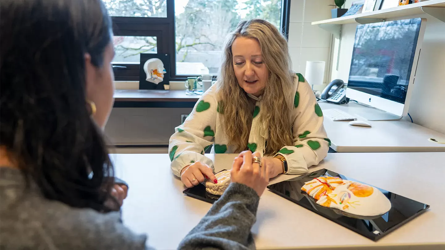Two people sit at a table looking at a model of a human face.