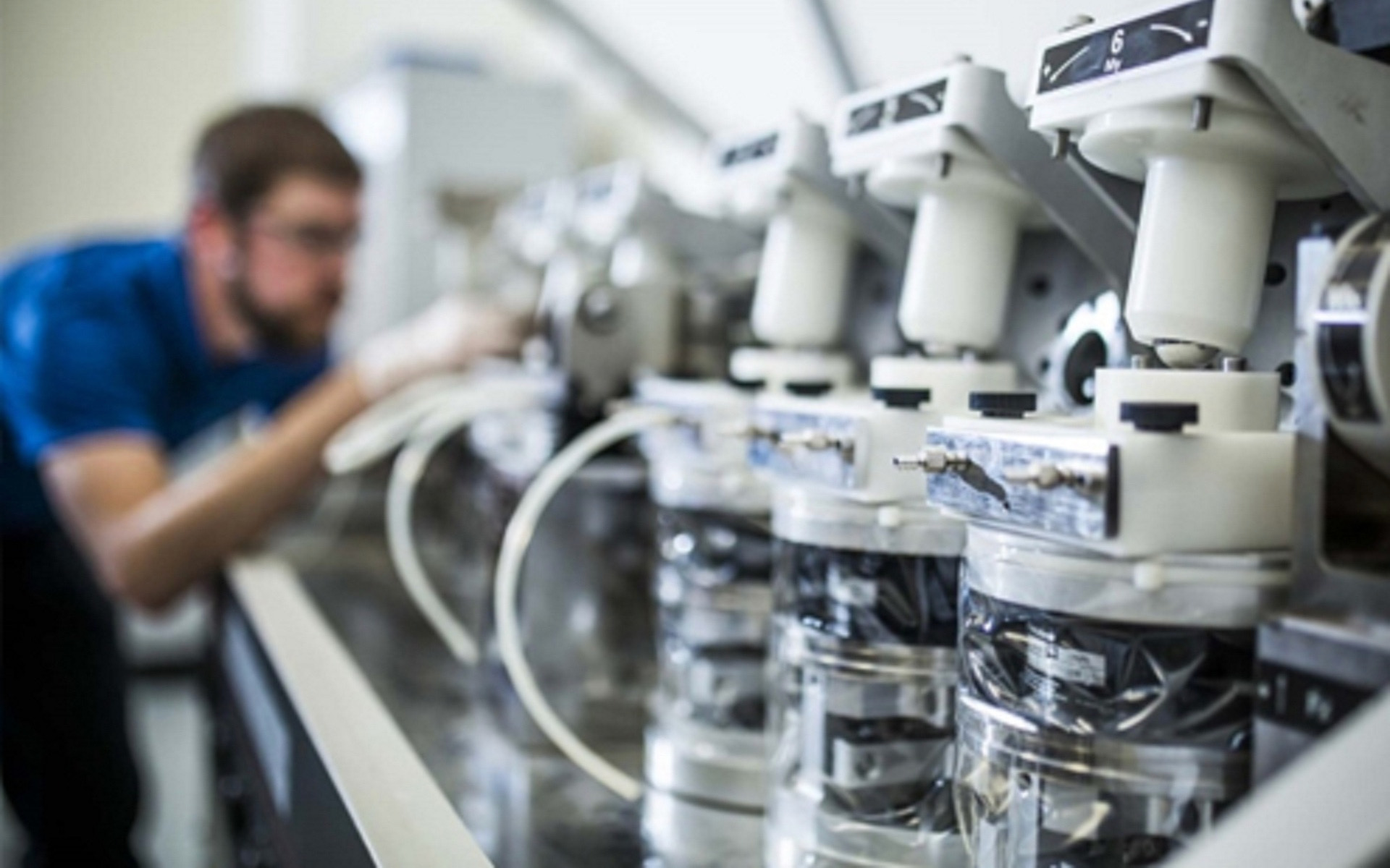 A student working in a lab.