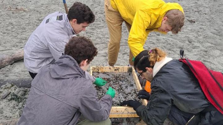 group of students working on beach
