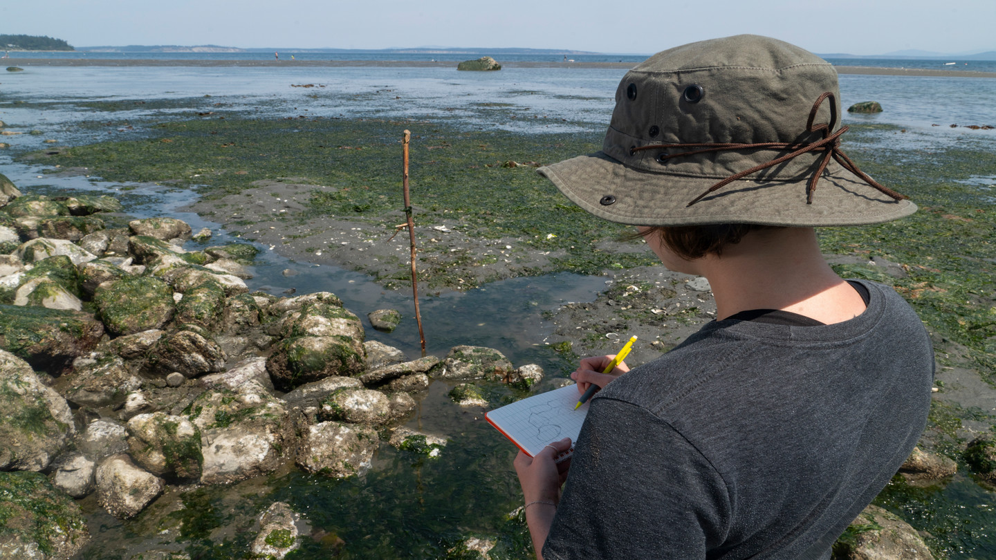 Young woman standing among tidal pools with notebook.