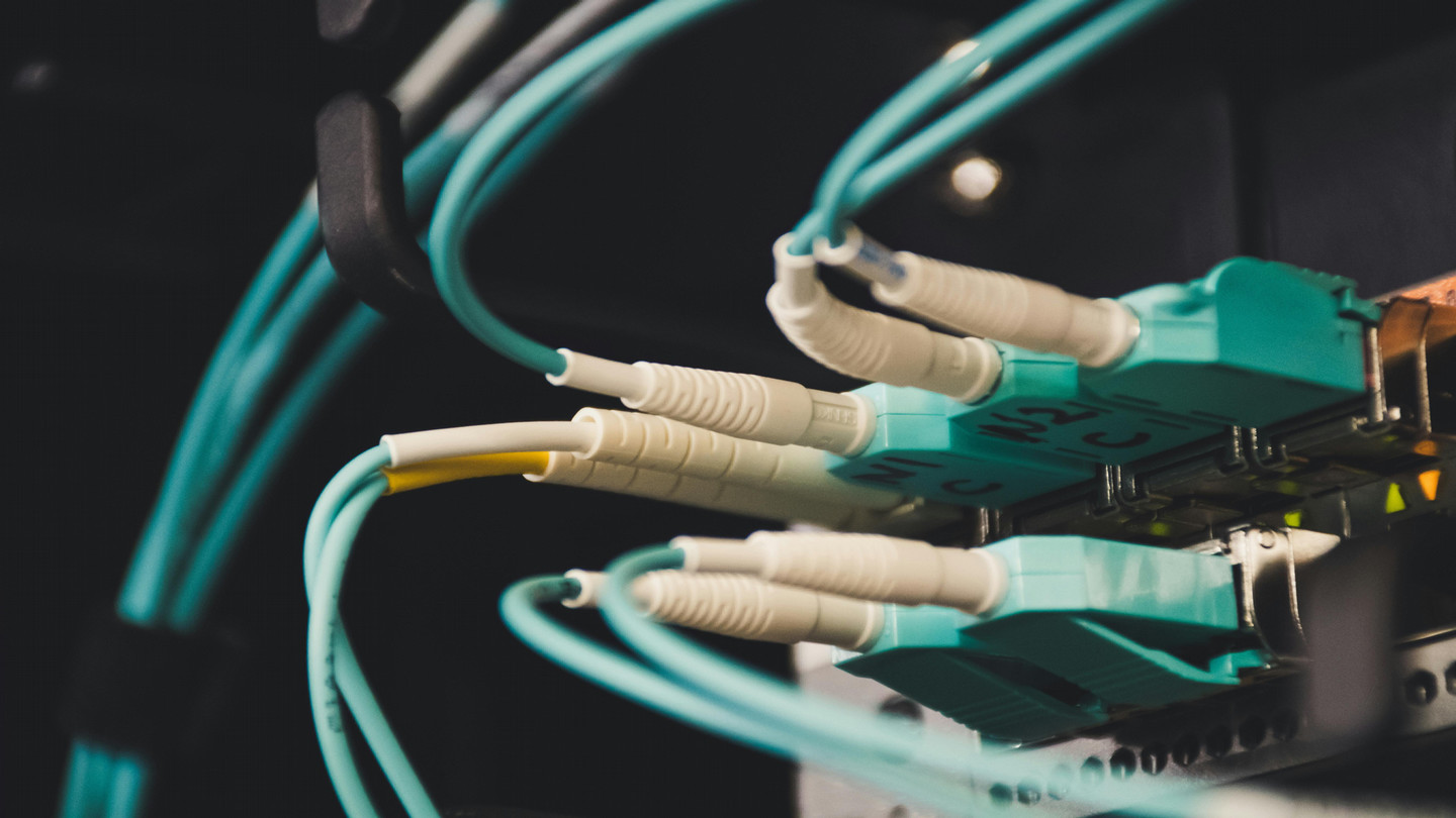 Close-up of telecommunications cables plugged into a panel.