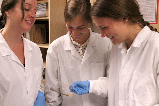 Lab