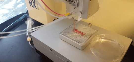 Bioprinting