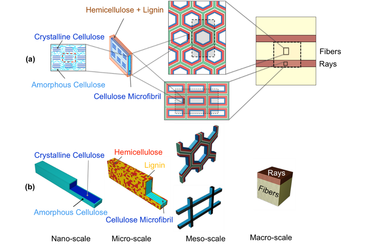 Sardar Research 1