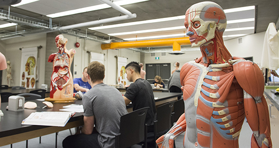 Students in a UVic anatomy lab