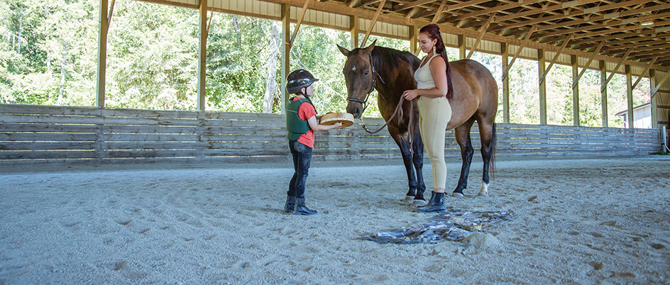 Student Charlene Hickey using a horse in a therapy session with a youth