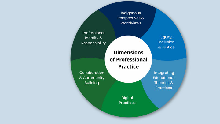 The Dimensions of Professional Practice graphic.