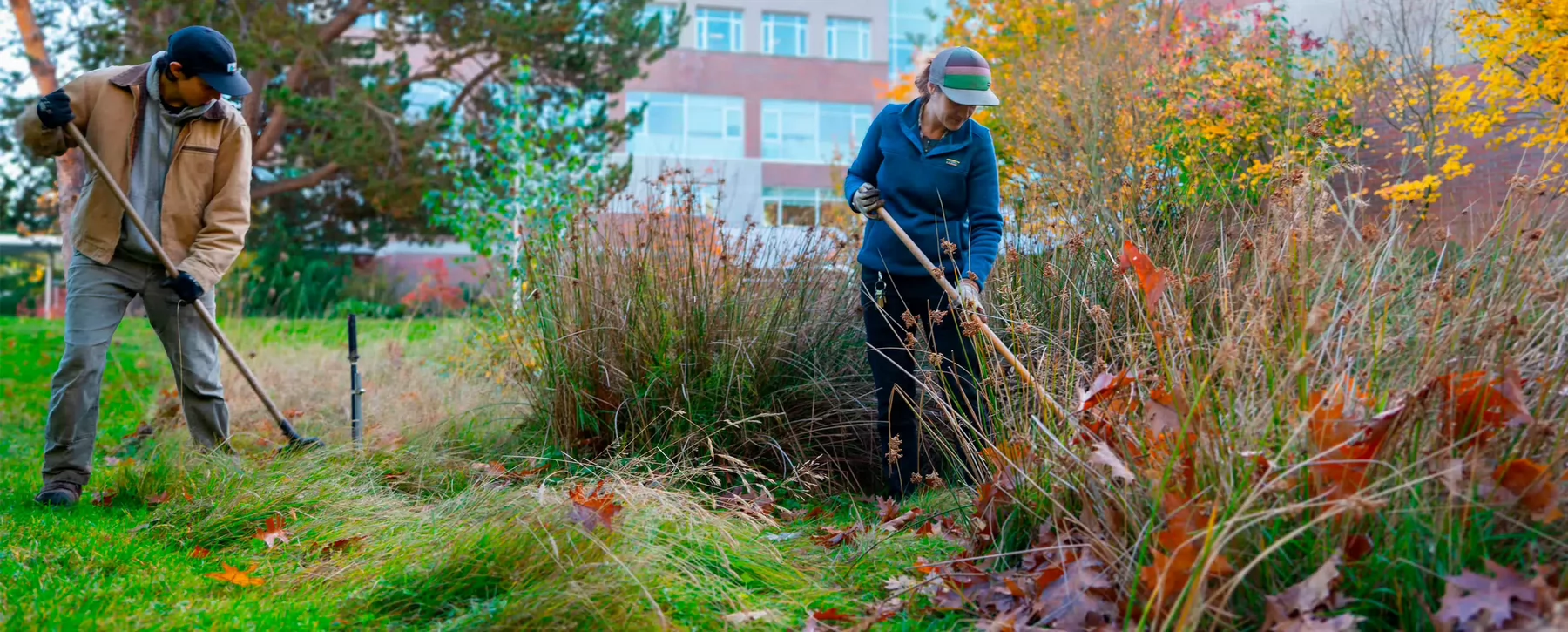 UVic grounds staff work in one of the landscape areas on campus