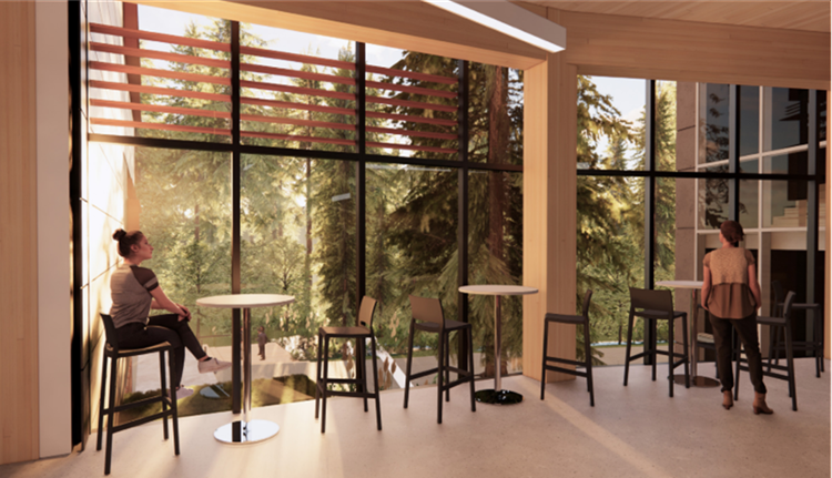A social space with tables, chairs and people looking out large windows onto Cunningham woods to the south.