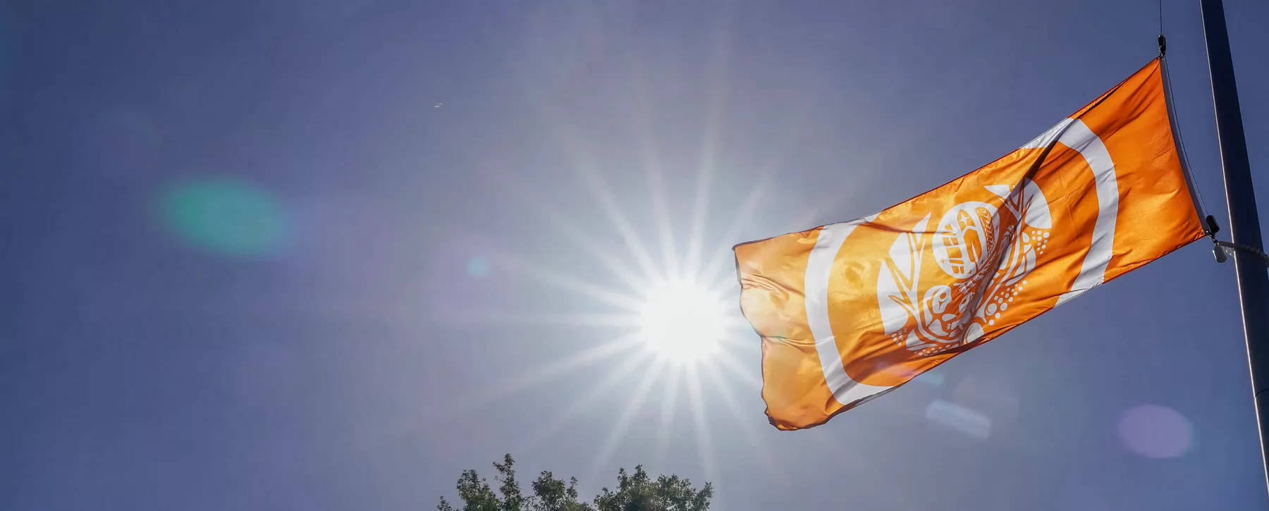 The Survivors' flag flies on campus.