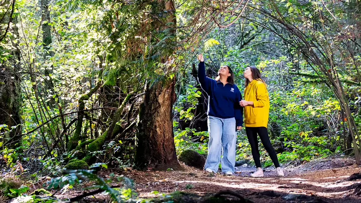 Two people stand among trees, looking at a fern.