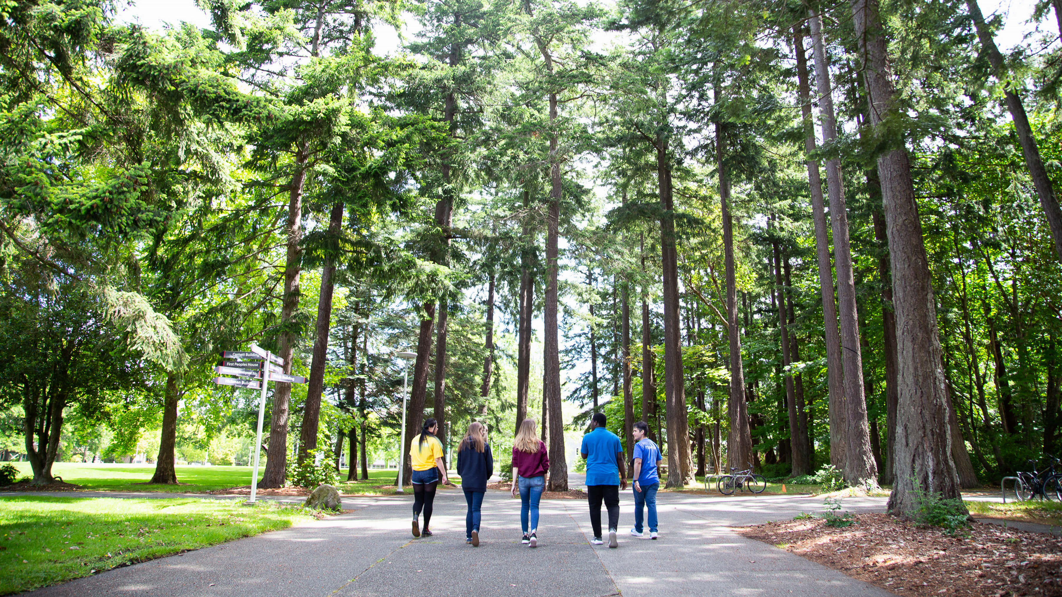 Five people walking on a pathway at UVic surrounded by trees