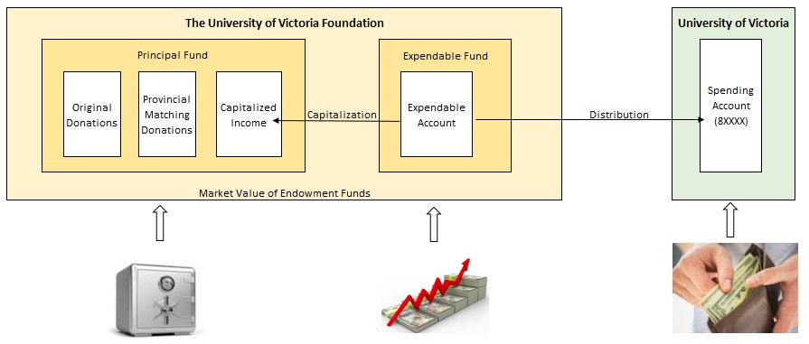 Endowment types