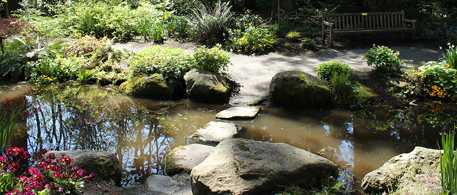 Stone steps in the gardens