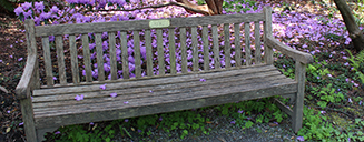A bench in the gardens by Beth Doman
