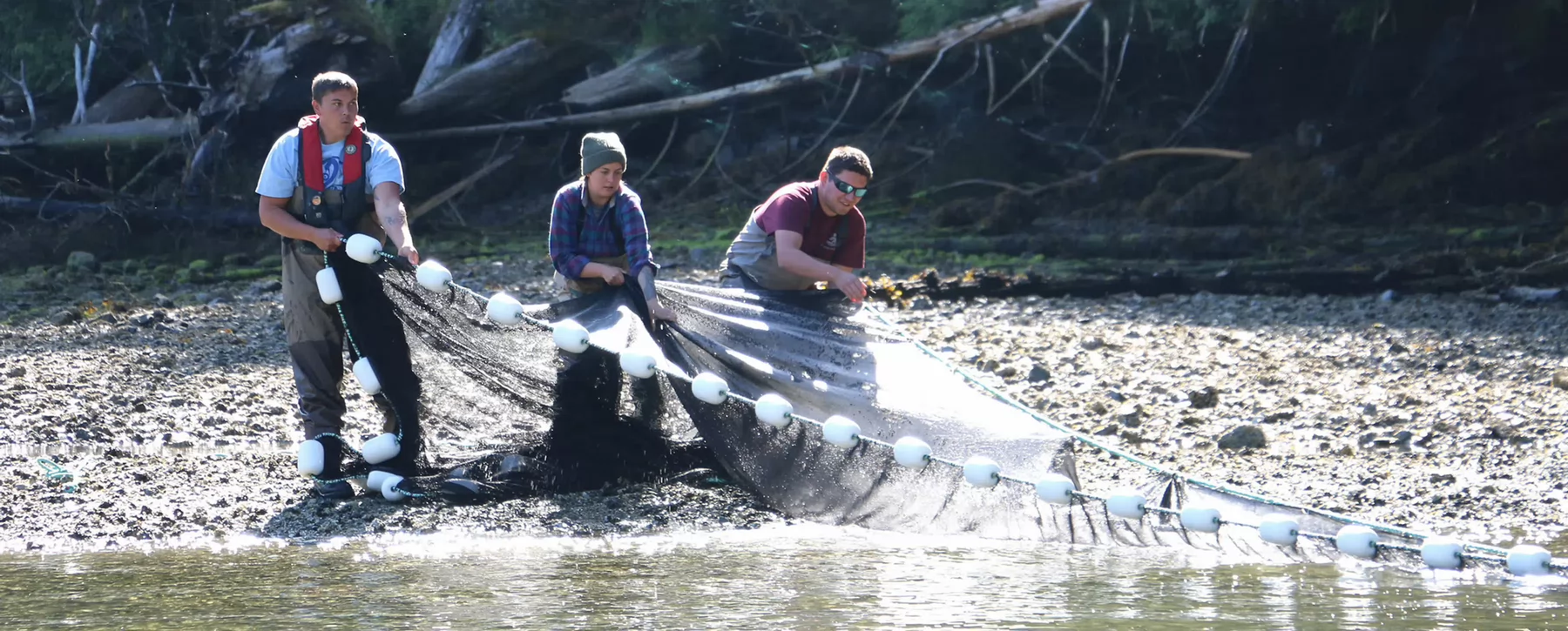 Three people wearing chest waders stand on a river bank pulling in a net.