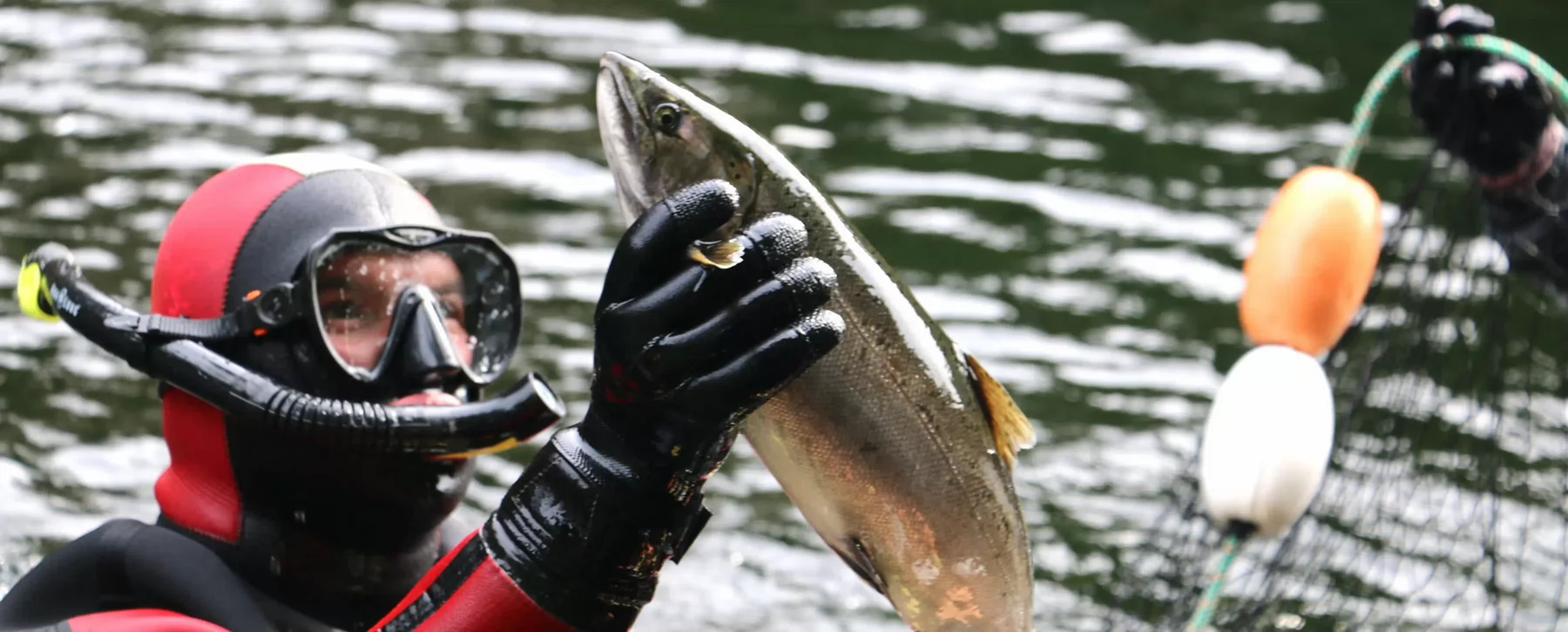 A person in a wetsuit holding a fish. 