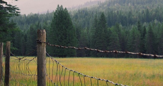 Fenced field