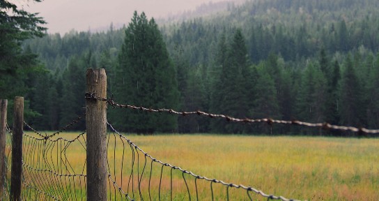 Fenced field 