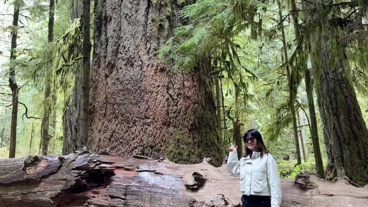 Profile picture of UVic Sustainability Scholar, Amanda in forest pointing to large tree