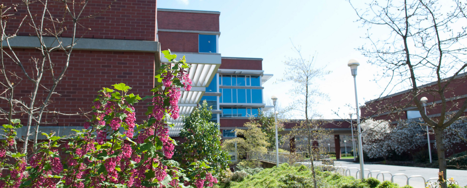 The Business and Economics Building at the University of Victoria