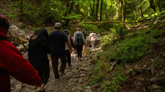 Students walk to Goldstream Falls.